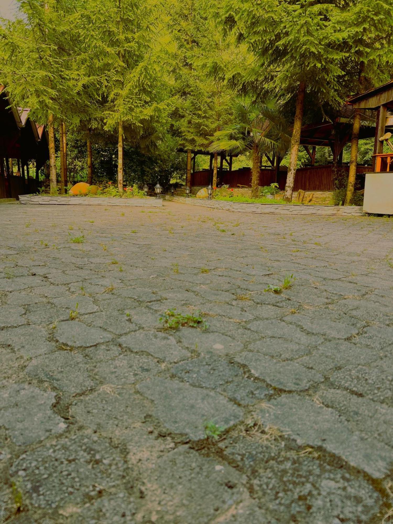 Isikli Kale Hotel Caykara 外观 照片