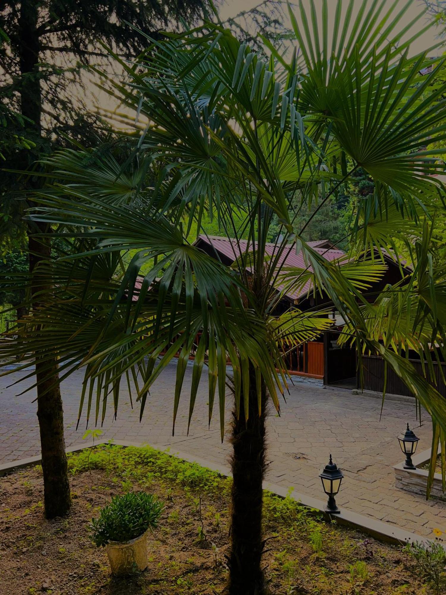 Isikli Kale Hotel Caykara 外观 照片